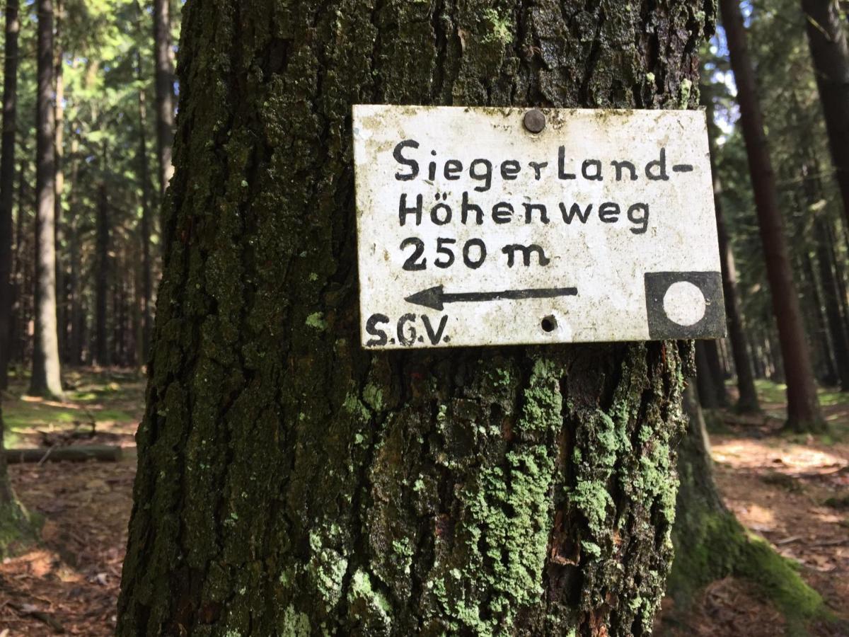 Pension Zum Rothaarsteig Netphen Dış mekan fotoğraf