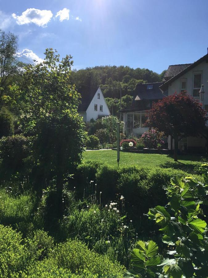 Pension Zum Rothaarsteig Netphen Dış mekan fotoğraf